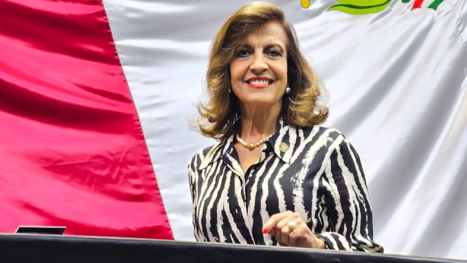 María Elena Pérez Jaén, diputada federal por el PAN.