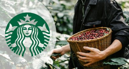 Starbucks es demandado por usar café de lugares donde hay abuso laboral