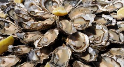 EU emite alerta por consumo de ciertas ostras criadas en México por contaminación con virus