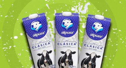 Alpura Clásica: ¿Qué tan buena es esta marca de leche, según la Profeco?