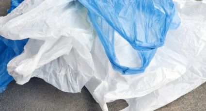 Prohibir uso de bolsas de plástico inflables y de burbujas, piden diputados del PVEM