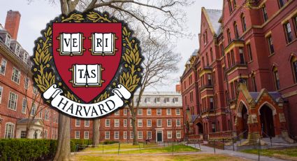 Universidad de Harvard lanza 5 cursos gratuitos online y con certificación oficial