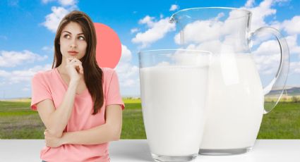 ¿Qué tipos de leche hay y cuáles son sus diferencias? Esto dice la Profeco