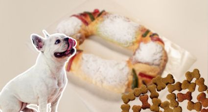 Así puedes preparar una Rosca de Reyes para tu mascota