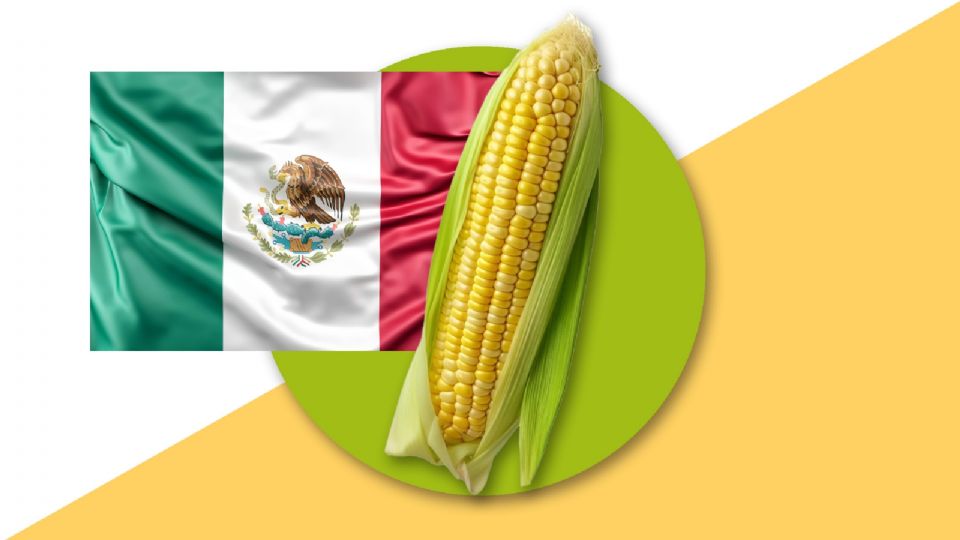 México se convertirá en la nación que más importa maíz amarillo del mundo