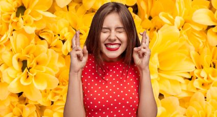 Por esta razón las flores amarillas atraen buena energía cuando empieza el año