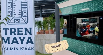 Tren Maya ha trasladado en 18 días de operaciones a 15 mil 579 pasajeros