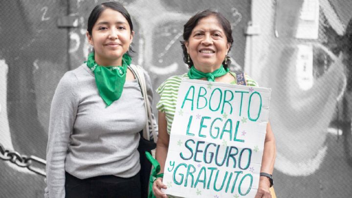 'No podemos forzar a ninguna mujer a ser madre cuando no lo desea', diputada