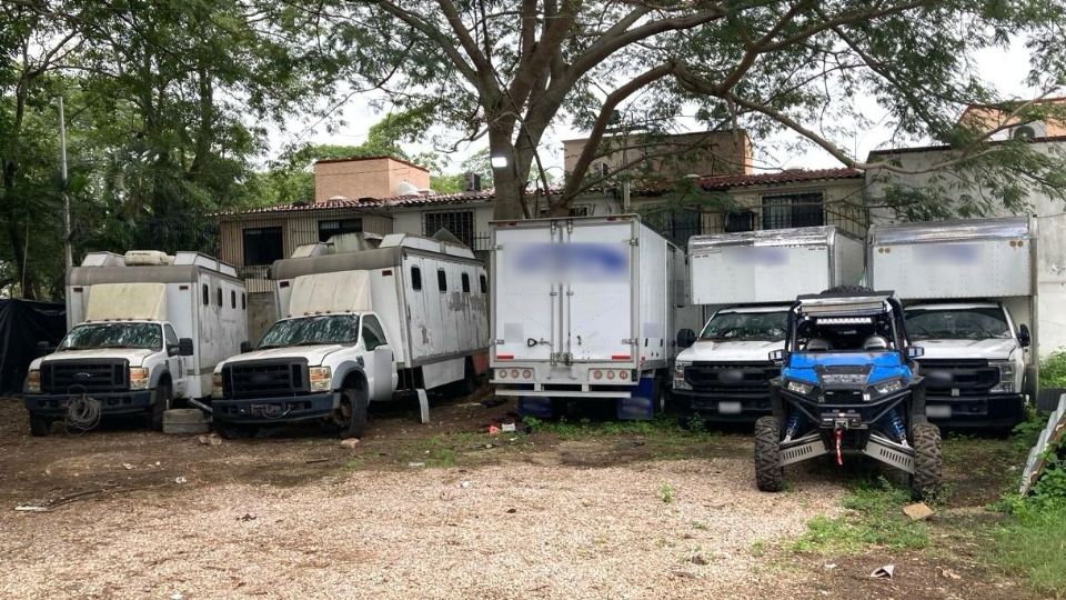 SEDENA informó que el personal militar obtuvo información que, en el municipio de Santa Cruz, Sonora, se efectuaban actividades ilícitas.