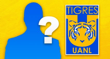 ¿Quién es el dueño del equipo de fútbol Tigres?