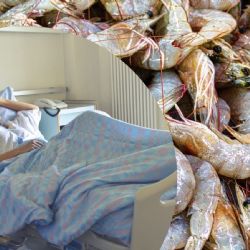 Casi muere por comer mariscos crudos, tuvo un derrame cerebral | VIDEO