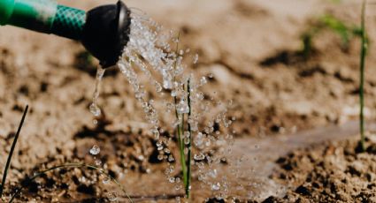 UNAM emite recomendaciones para cuidar el agua