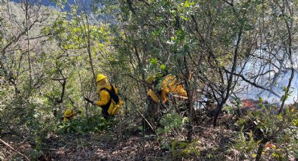 Combaten incendio forestal en Sierra de Santiago