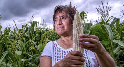 Productores agroalimentarios piden diálogo nacional; ven con preocupación la sequía