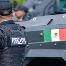Localizan auto con dos cuerpos calcinados en Linares, Nuevo León