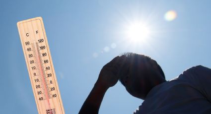 Alerta por calor en CDMX: consejos para enfrentar las altas temperaturas