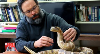 UANL destaca como líder Nacional en el estudio de reptiles