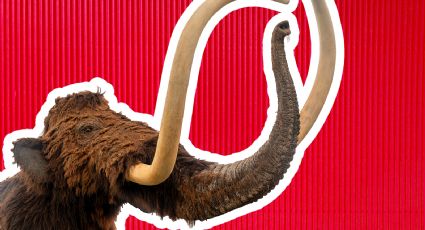 El regreso del mamut lanudo: estos son los avances para ‘desextinguir’ la especie
