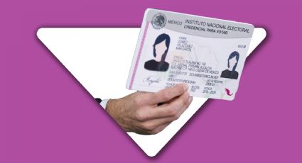 INE: El aumento en el número de mexicanos que votarán en el extranjero es normal; nada es ilegal