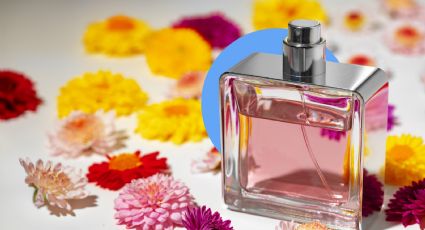 Fraiche: ¿Qué son los perfumes de Nicho? La nueva línea de aromas exclusivos, para hombres y mujeres