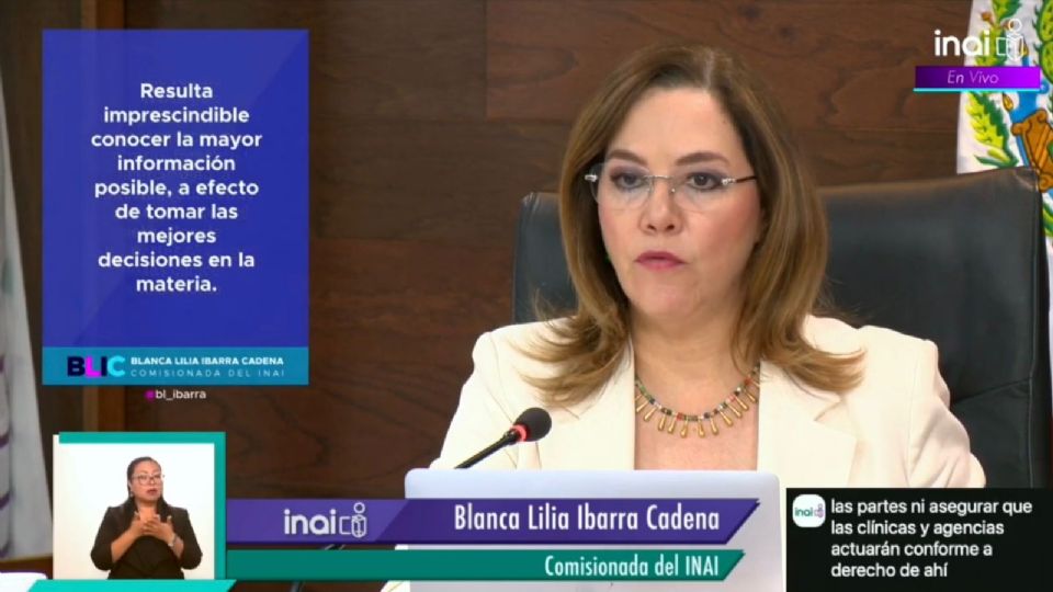 Comisionada Blanca Lilia Ibarra.