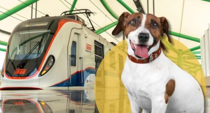 Solicitarán a Metrorrey que usuarios puedan ingresar con mascotas a vagones del Metro