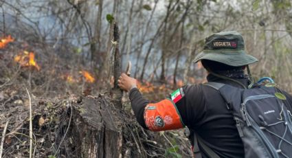 Implementan acciones para controlar incendios en las Altas Montañas de Veracruz