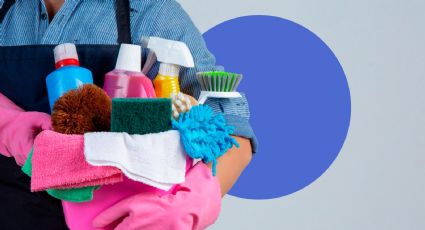 '95% de las trabajadoras domésticas están en la informalidad': Luis Miguel González