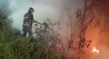¿Qué provocó el incendio en la Tercera Sección del Bosque de Chapultepec?