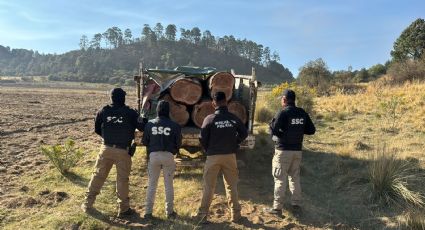 Detienen en flagrancia a talador de árboles en Milpa Alta