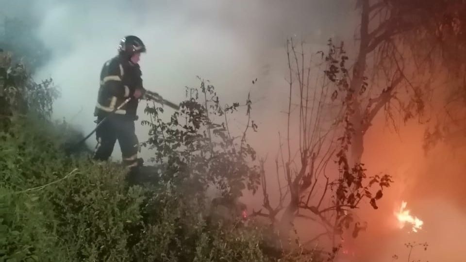 ¿Qué provocó el incendio en la Tercera Sección del Bosque de Chapultepec?