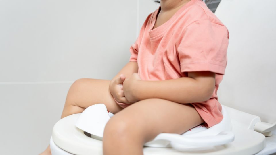Del total de infecciones gastrointestinales en población infantil, 80 por ciento es de carácter viral.