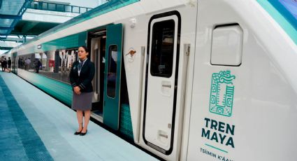 13 derechos que tienes al viajar en el Tren Maya, según la Profeco