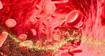 Sangre dorada: esto debes saber del grupo sanguíneo más raro y valioso del mundo