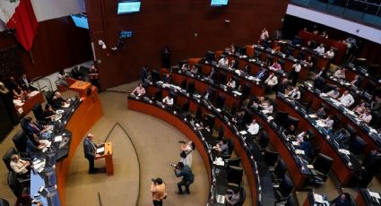 Senado de la República avala reforma de Ley de Amnistía