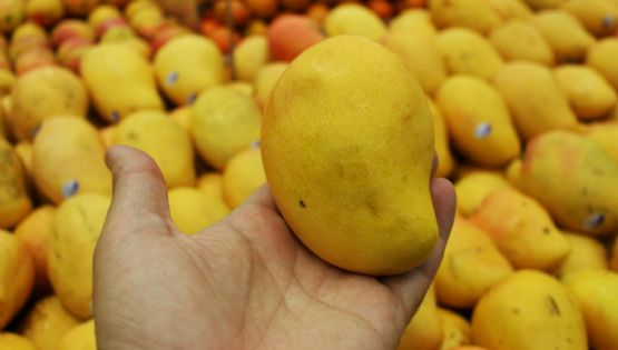 Beneficios de comer mango en esta temporada