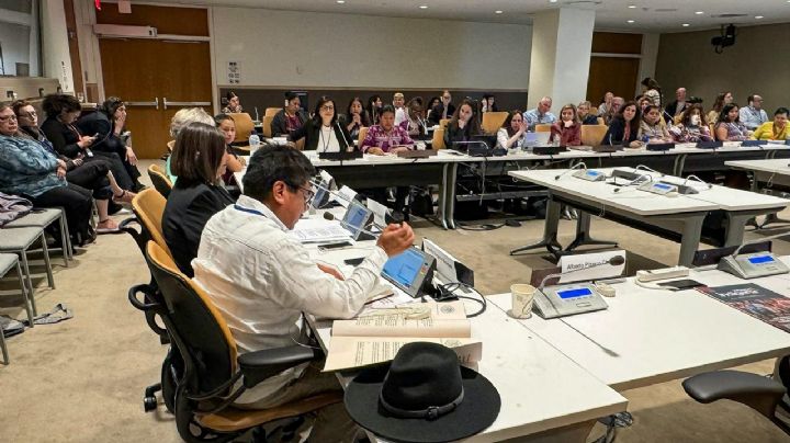Destaca México en la ONU, compromiso para reconocer la medicina tradicional en el Sistema de Salud Público