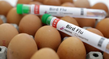 Secretaría de Salud niega un muerto por gripe aviar AH5N2; critica comunicado de la OMS