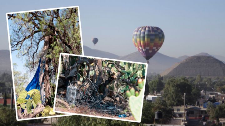 Teotihuacán: Detienen a empresario dueño de globo aerostático que se incendió hace un año