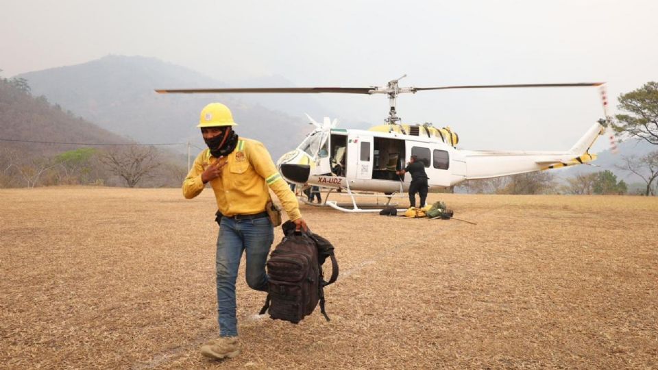 Incendios forestales.