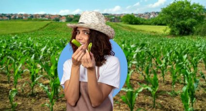Cultiva tus propios frutos en la CDMX: conoce las mejores opciones para tu jardín o huerto urbano