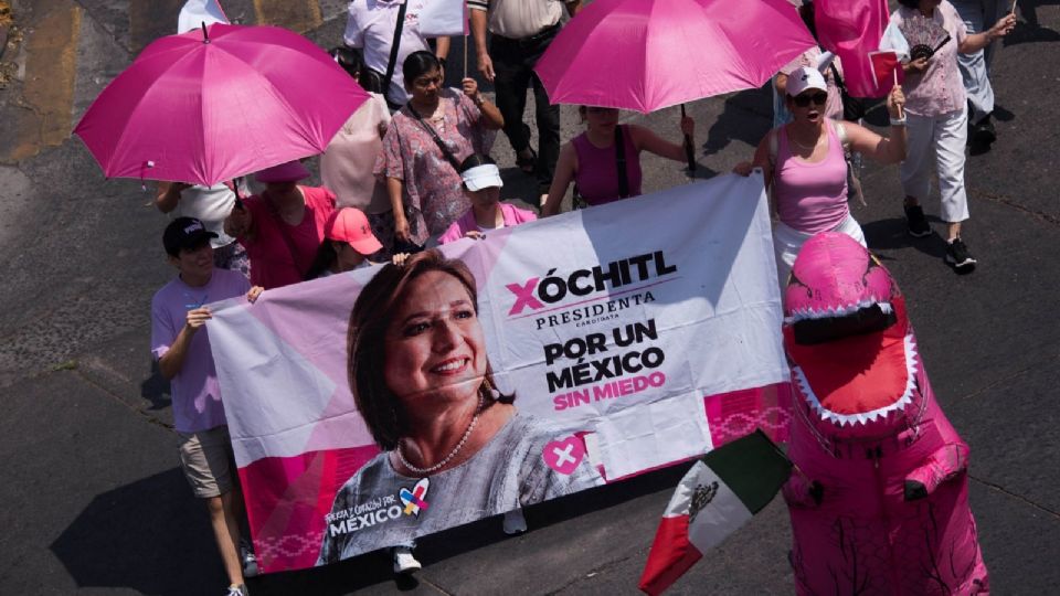 Ciudadanos participaron en la marcha 'Defendamos la democracia' o 'Marea Rosa'.