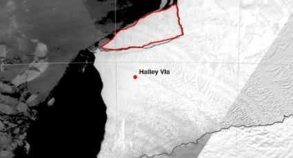 Iceberg de 380 km² se desprende en Antártida ¿por el cambio climático?, esto dicen los científicos