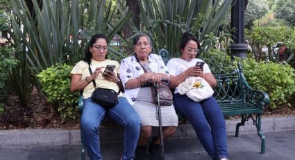 Prohibir uso de celulares en las casillas de votación, pide diputada federal de Morena