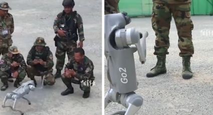 Perros robot chinos son presentados por el ejército y causan sensación por su letalidad | VIDEO