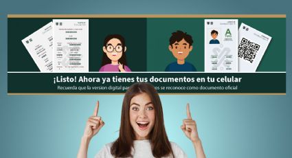 Así puedes obtener tu tarjeta de circulación y licencia de conducir digitales; son válidas