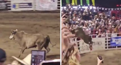 Mira el momento en el que un toro salta la valla y lesiona a varias personas en Estados Unidos