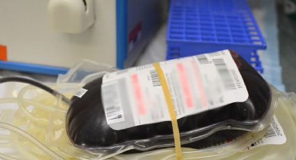 En México incrementa la donación de sangre voluntaria
