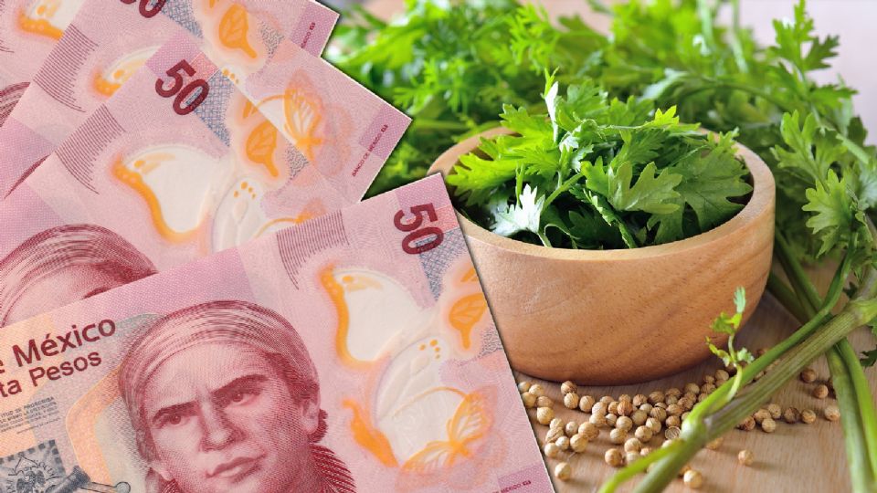 El precio del cilantro aumentó más de 400% en este 2024.