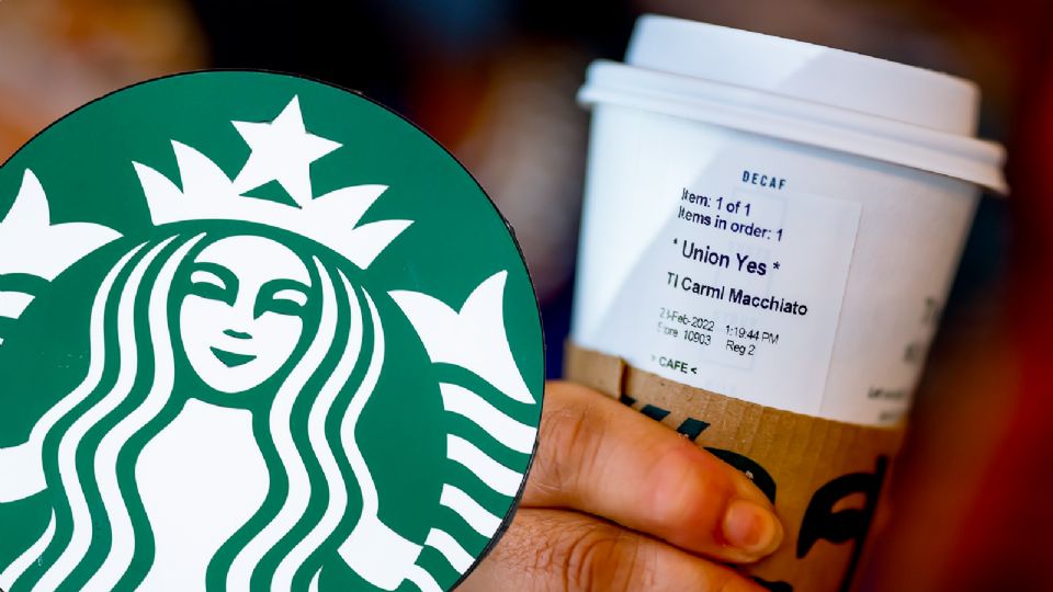 Starbucks ya tiene bebidas para el verano 2024: ¿cuáles son sus sabores?